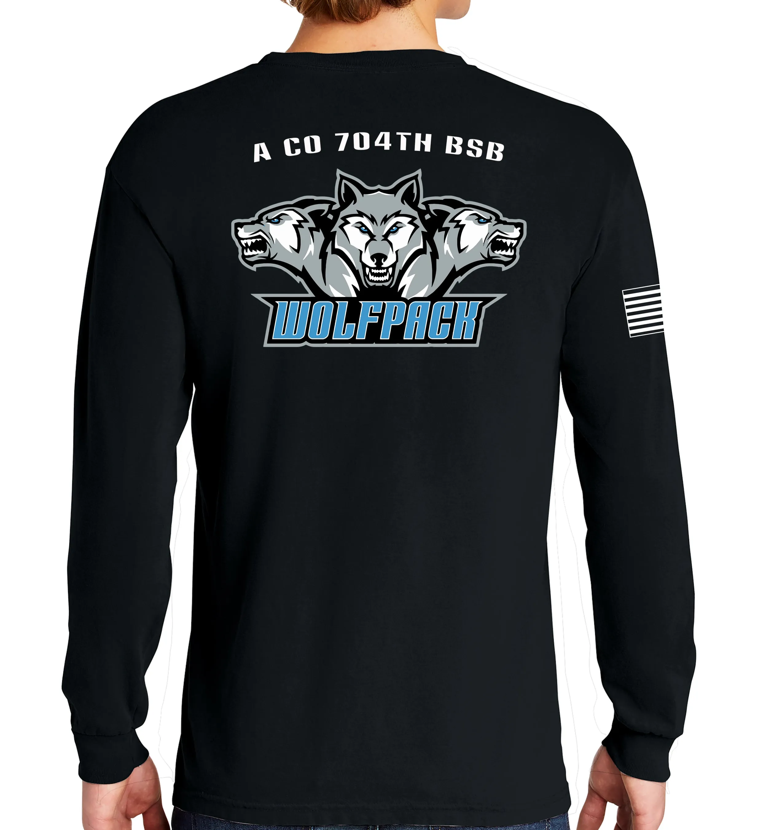 A CO Long Sleeve 50-50 Blend Unisex Shirt. This shirt IS approved for PT